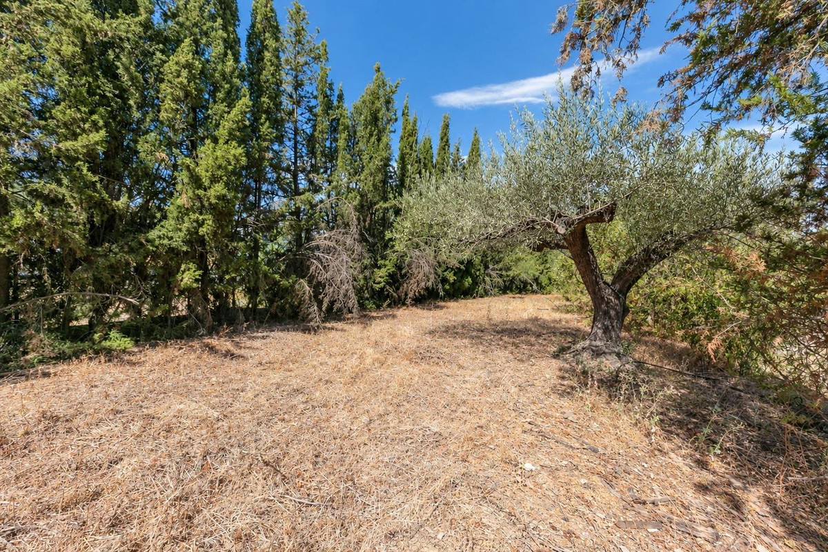 Property main view 34