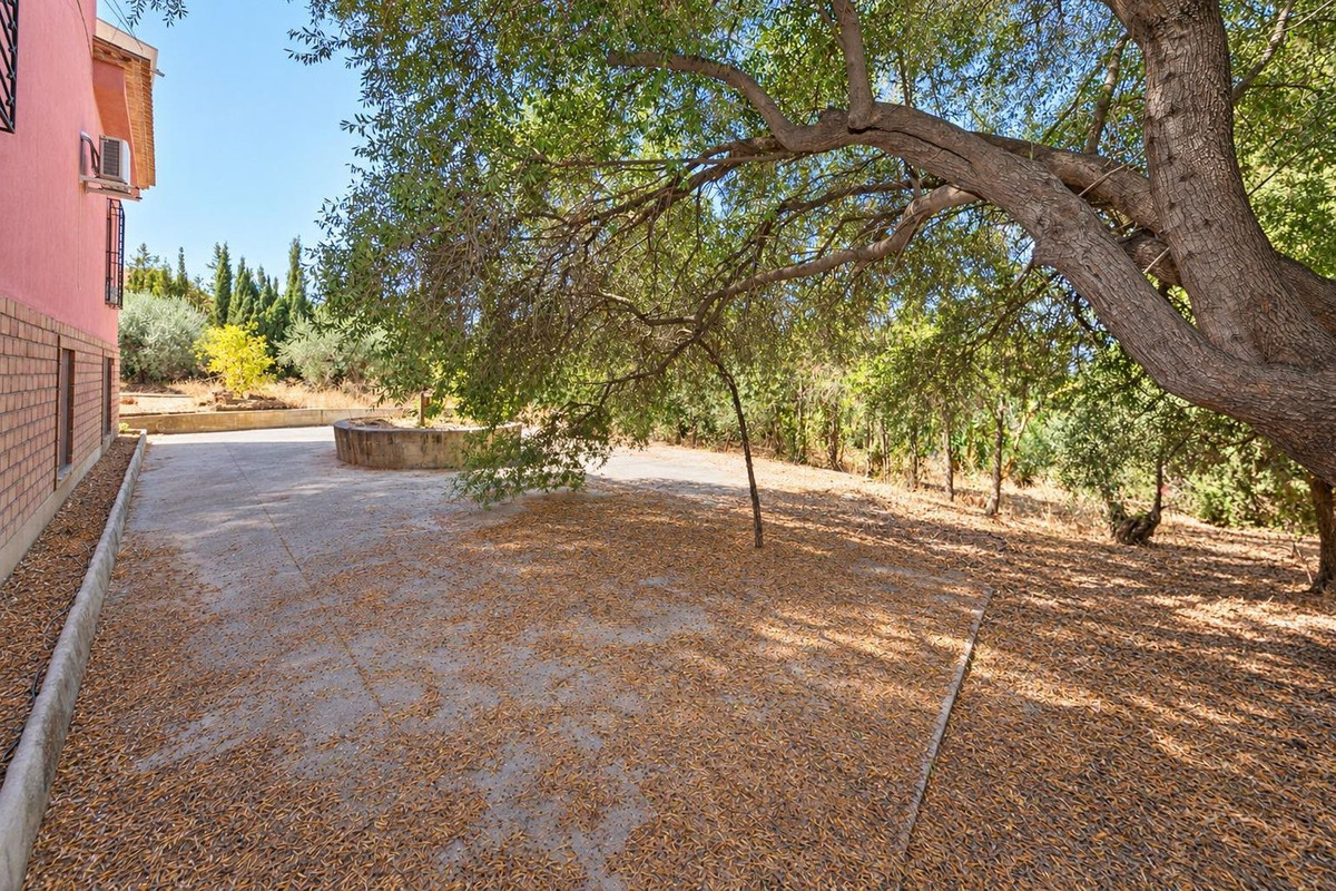 Property main view 37