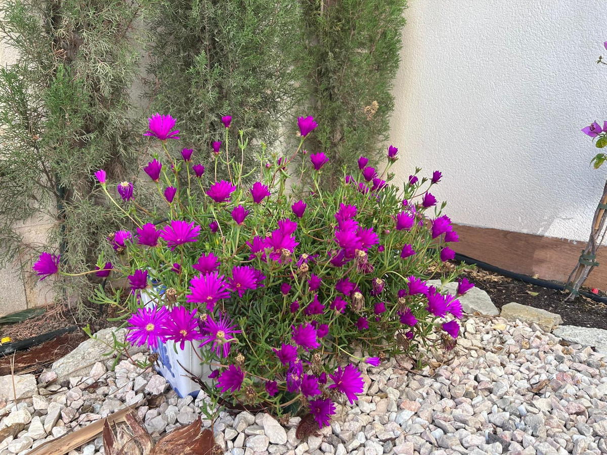 Bungalow te koop in Alicante | 3 slaapkamers H5305363