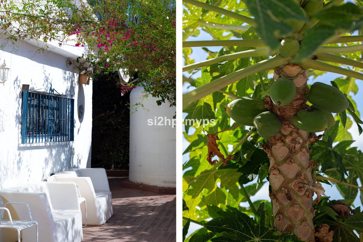 Detached Villa te koop in Almayate | 4 slaapkamers H4942015