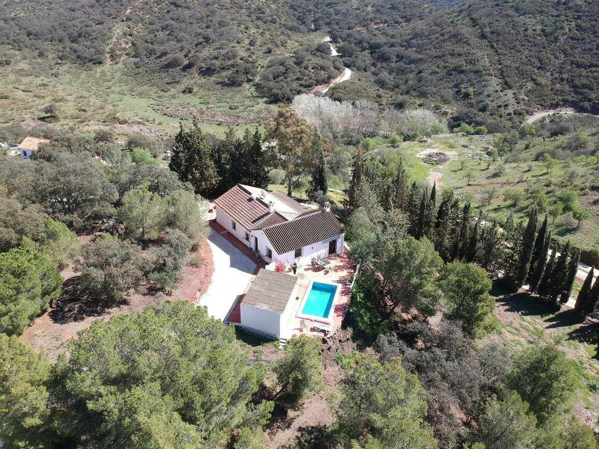 Finca - Cortijo in Almogía-9