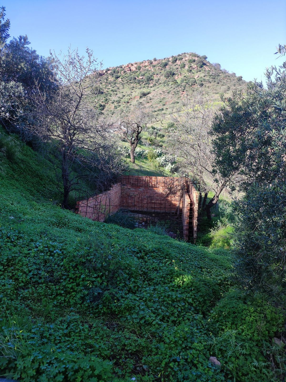 Vrijstaande Villa in Almogía-22