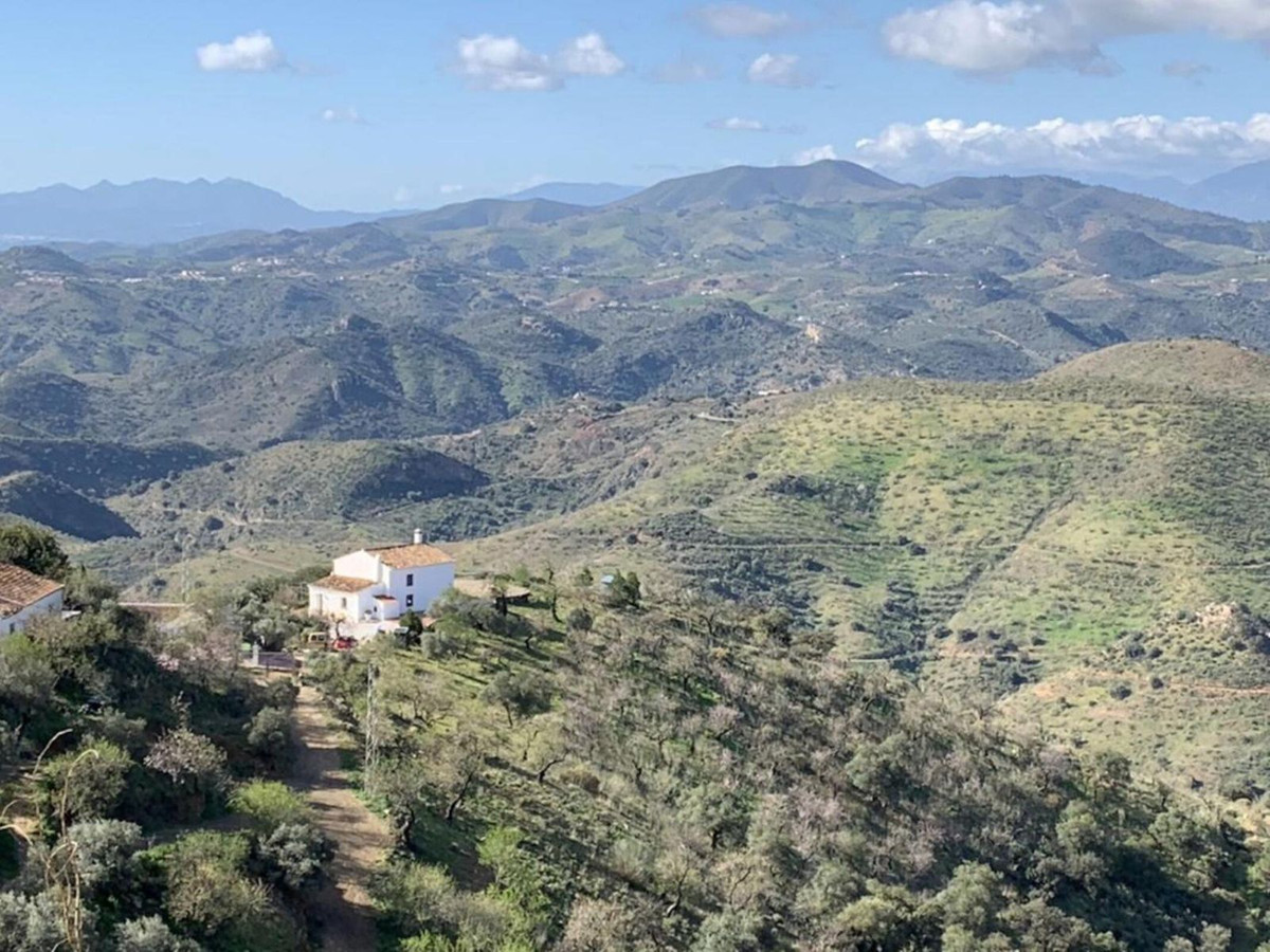 Finca - Cortijo in Almogía-2