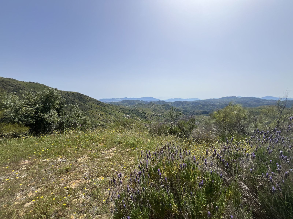 Finca - Cortijo te koop in Almogía | 4 slaapkamers H5213881