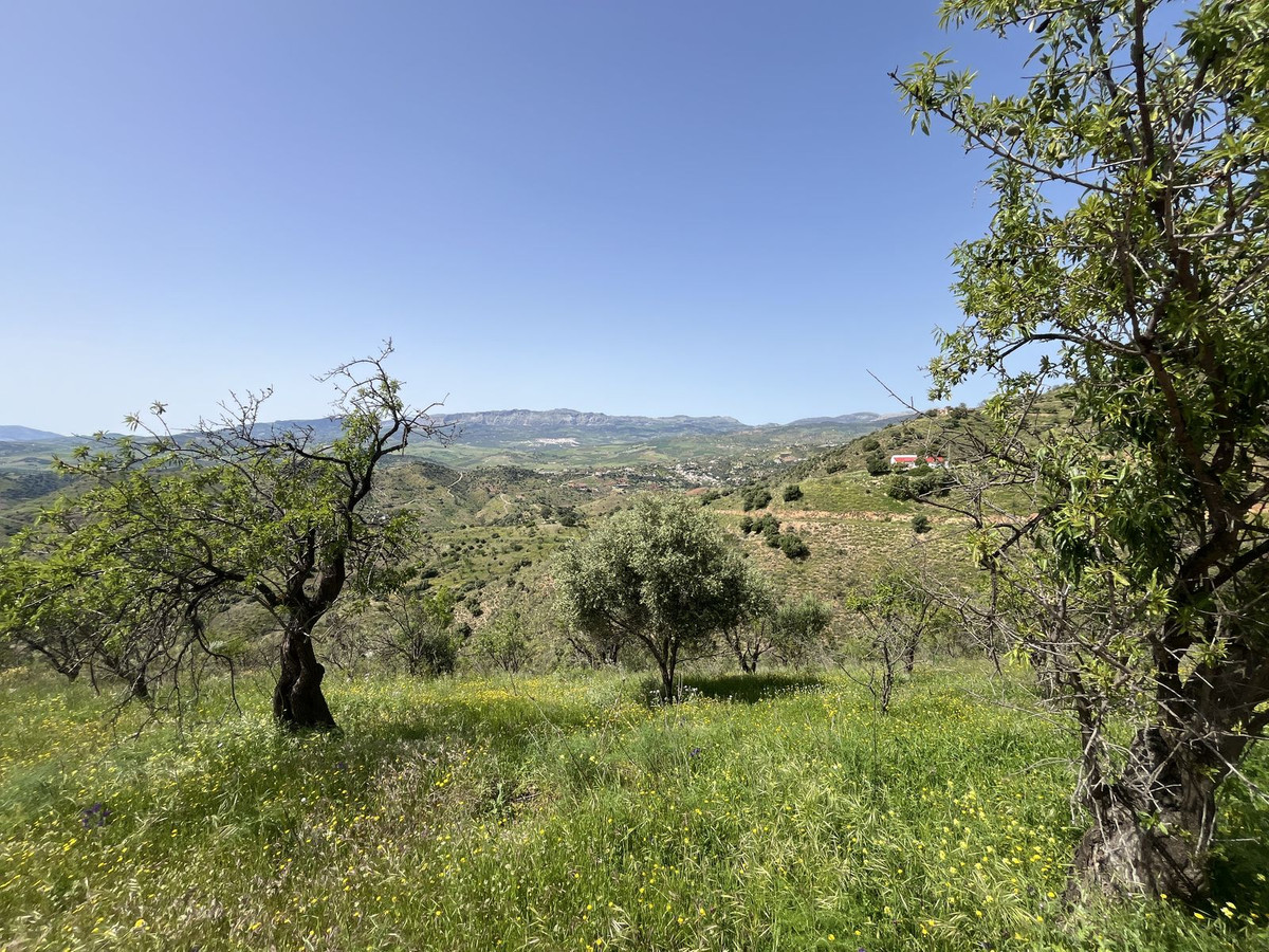 Finca - Cortijo te koop in Almogía | 4 slaapkamers H5213881