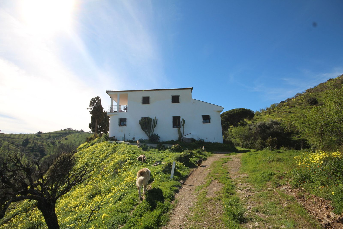 Finca - Cortijo te koop in Almogía | 20 slaapkamers H5310967