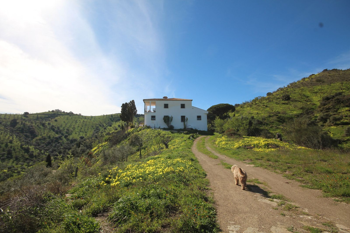 Finca - Cortijo te koop in Almogía | 20 slaapkamers H5310967