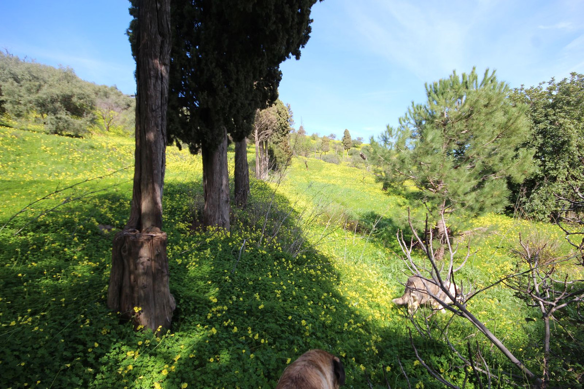 Finca - Cortijo te koop in Almogía | 20 slaapkamers H5310967