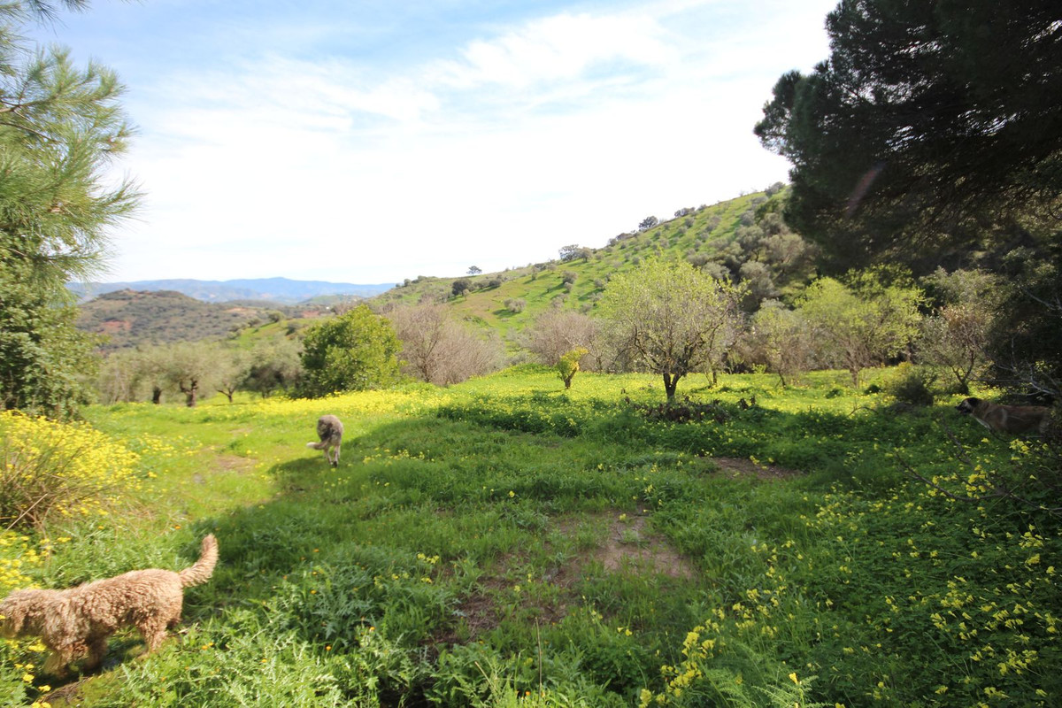 Finca - Cortijo te koop in Almogía | 20 slaapkamers H5310967