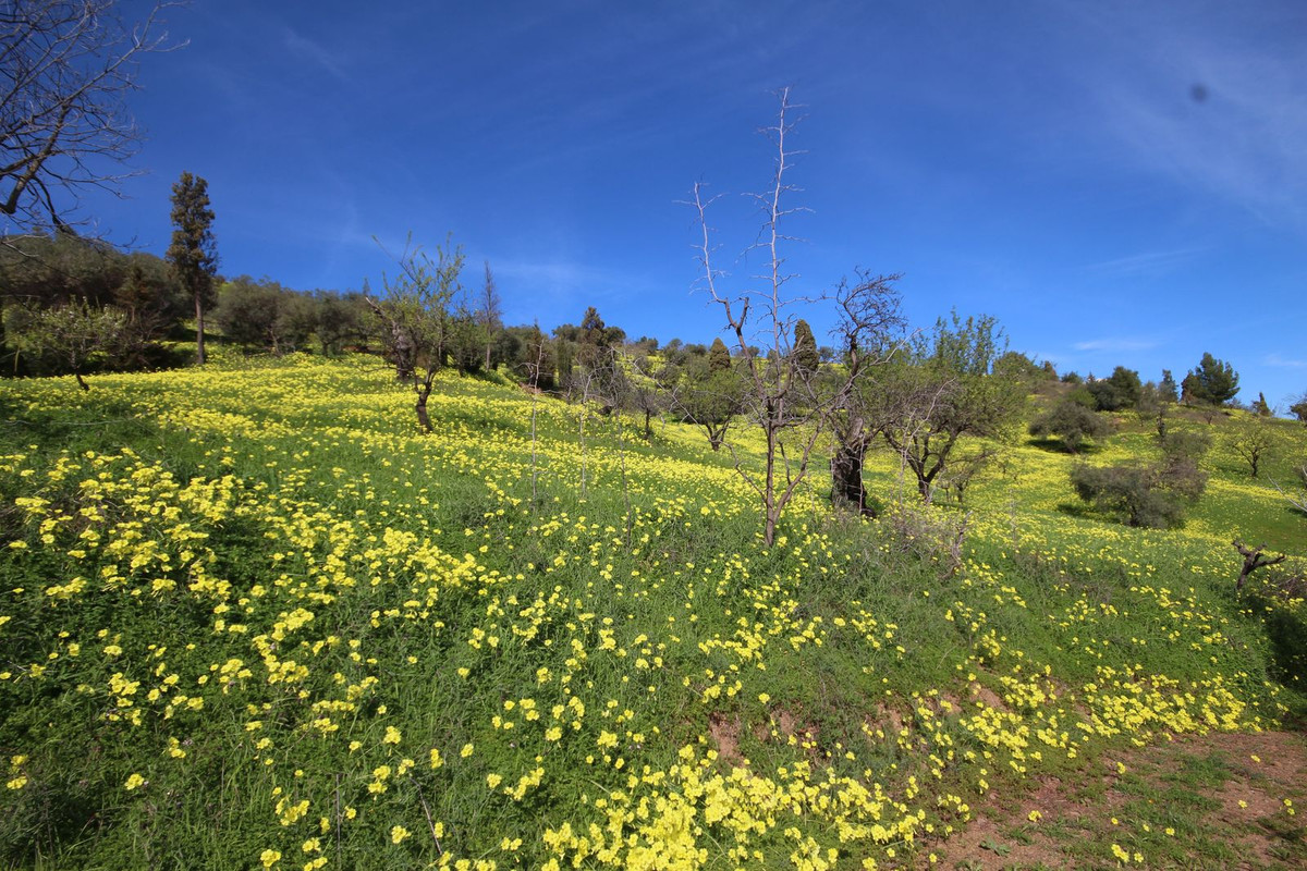 Finca - Cortijo te koop in Almogía | 20 slaapkamers H5310967