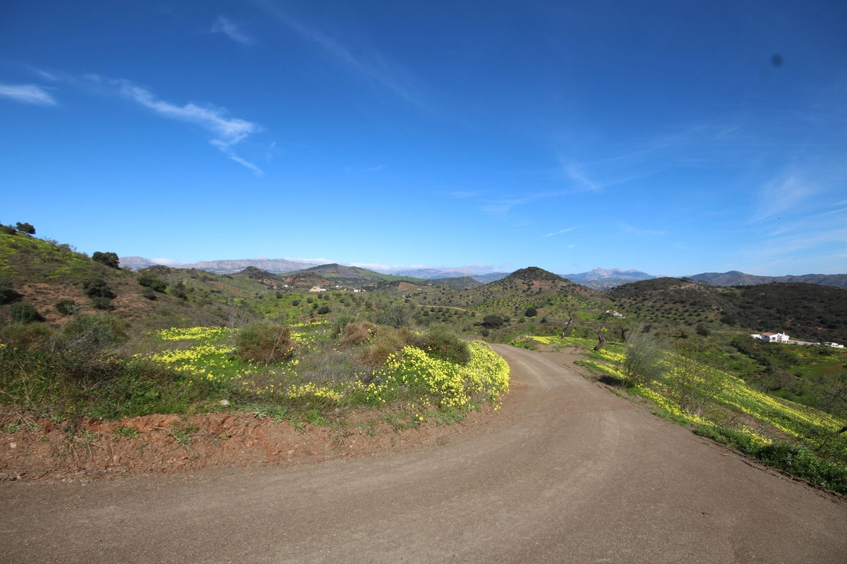 Finca - Cortijo te koop in Almogía | 20 slaapkamers H5310967