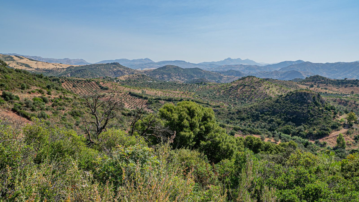 Property main view 37