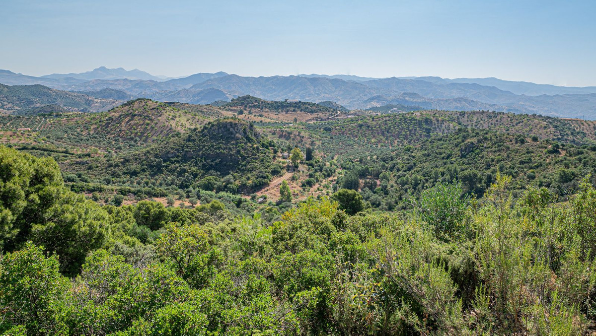 Property main view 38
