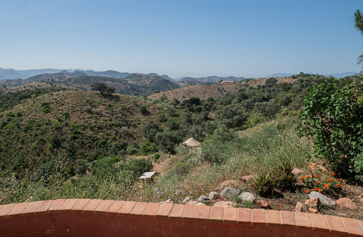 Property main view 41