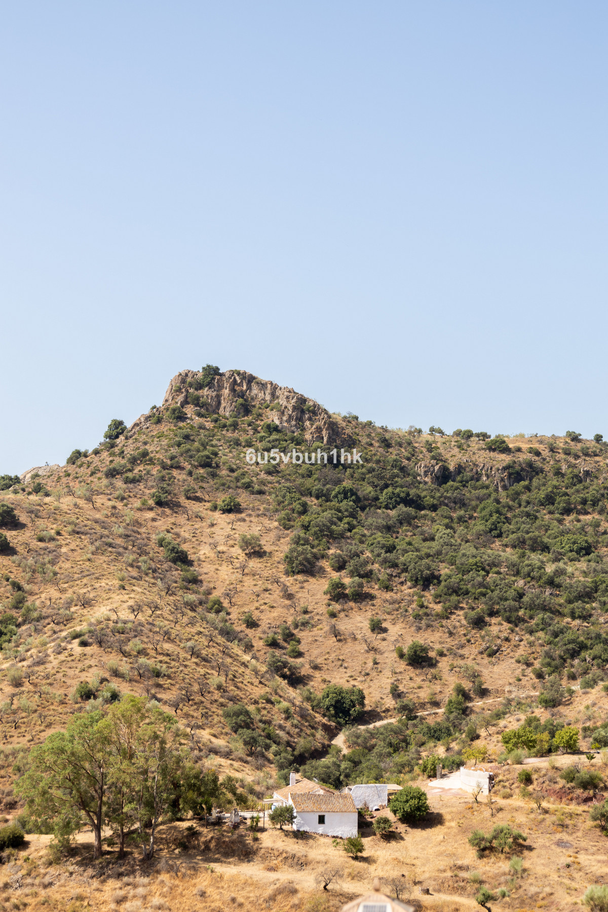 Property main view 50