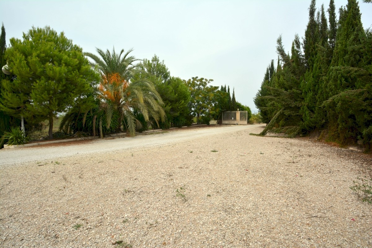Finca - Cortijo te koop in Almoradi | 4 slaapkamers H4904158