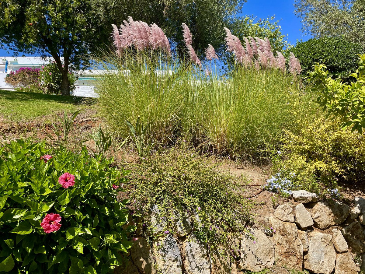 Property main view 40