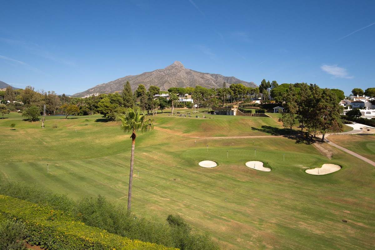 Property main view 43