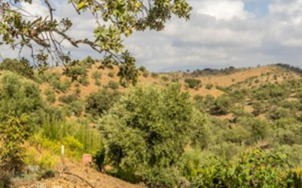 Property main view 52