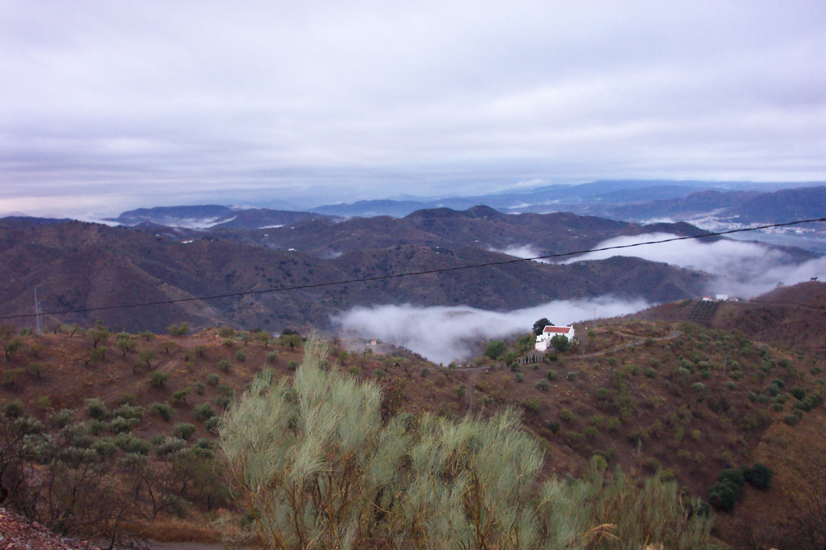 Finca - Cortijo in Alora-15