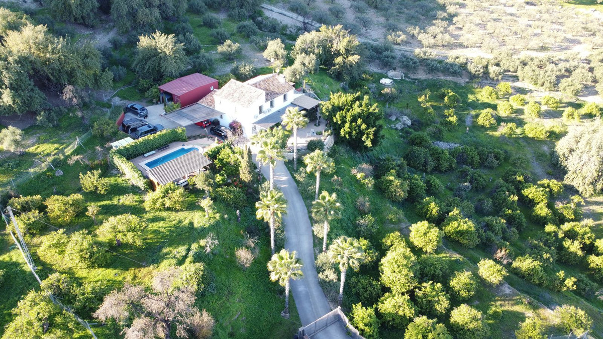 Finca - Cortijo in Alora-1