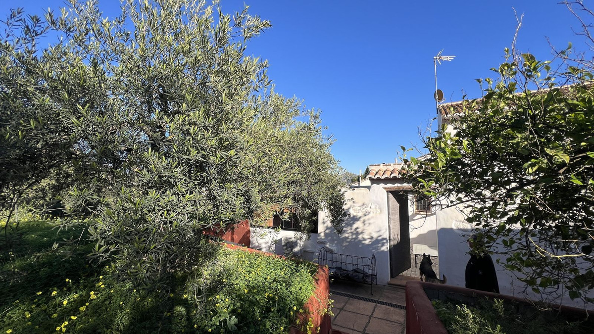 Finca - Cortijo in Alora-32
