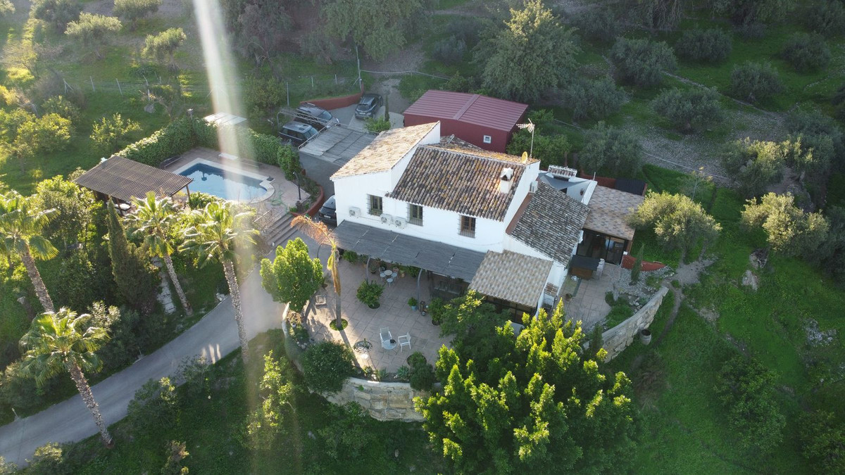 Finca - Cortijo in Alora-5
