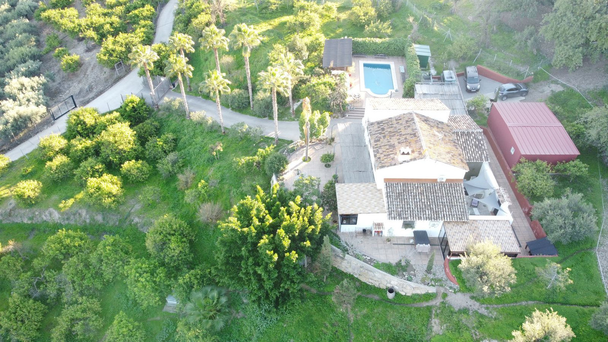 Finca - Cortijo in Alora-6