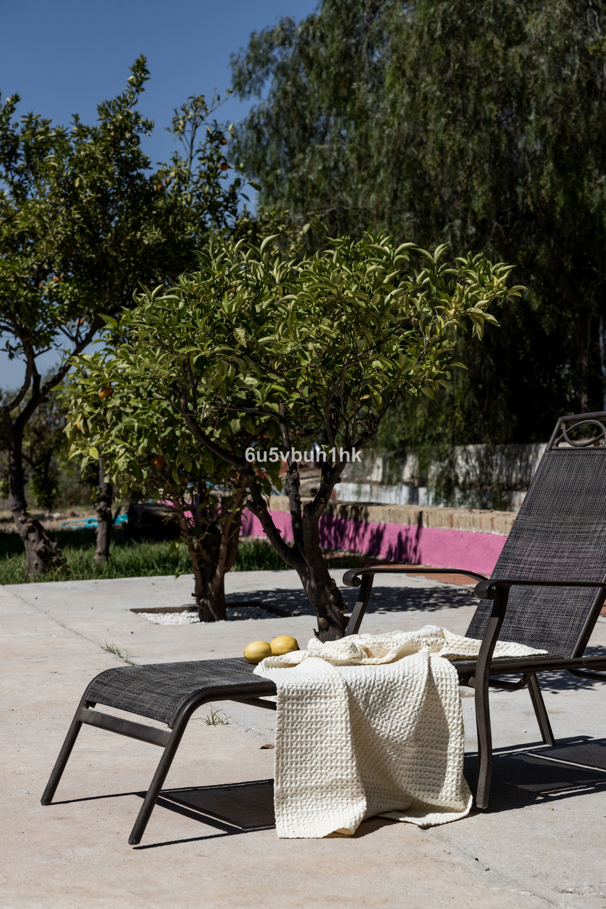 Finca - Cortijo in Alora-16
