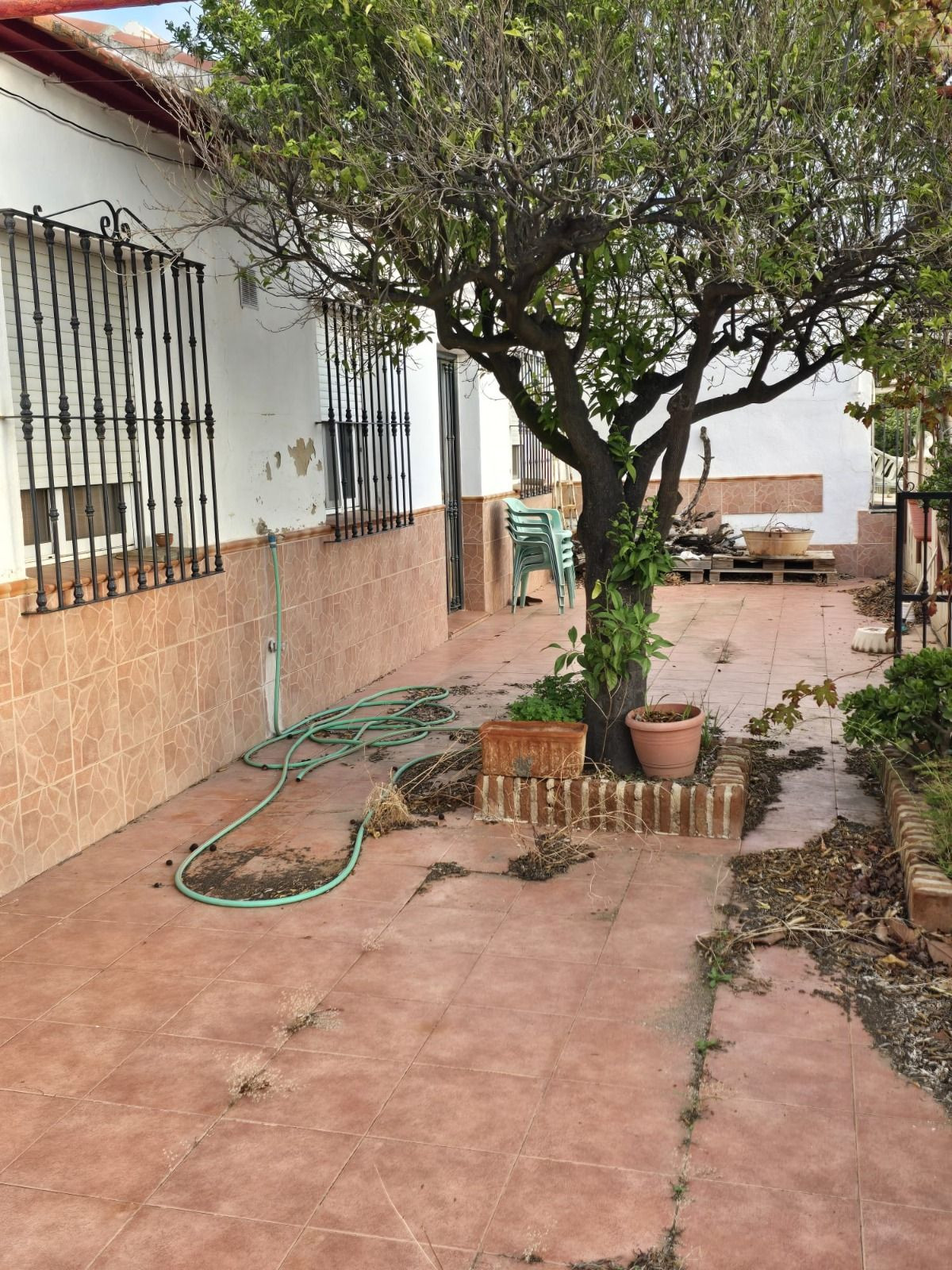 Finca - Cortijo in Alora-1