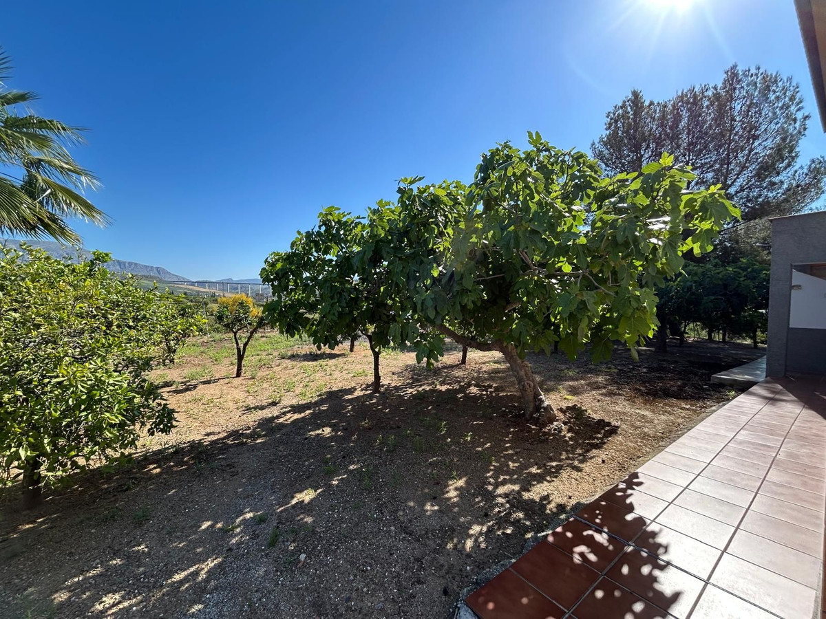 Detached Villa te koop in Alora | 2 slaapkamers H5044603