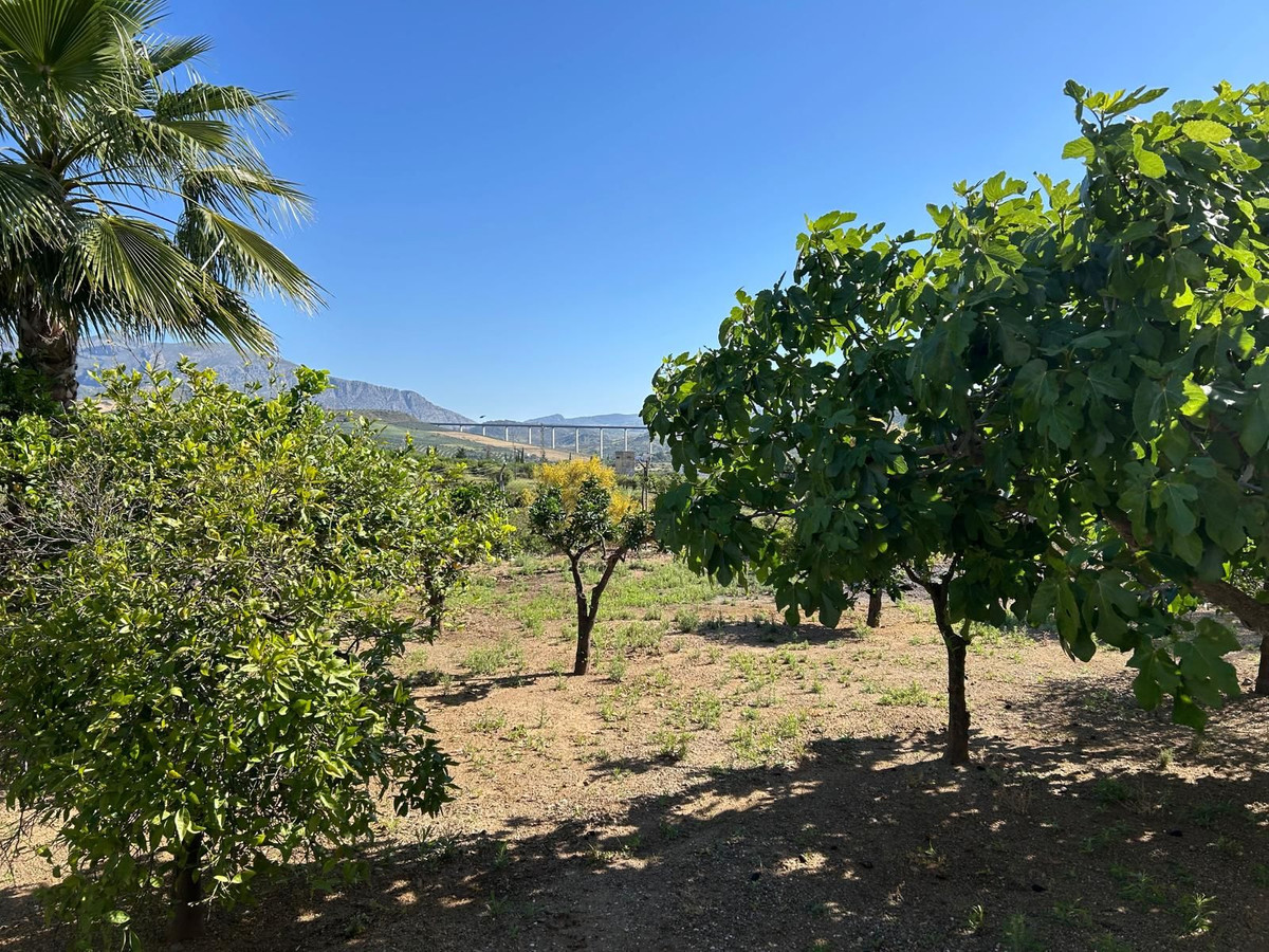 Detached Villa te koop in Alora | 2 slaapkamers H5044603