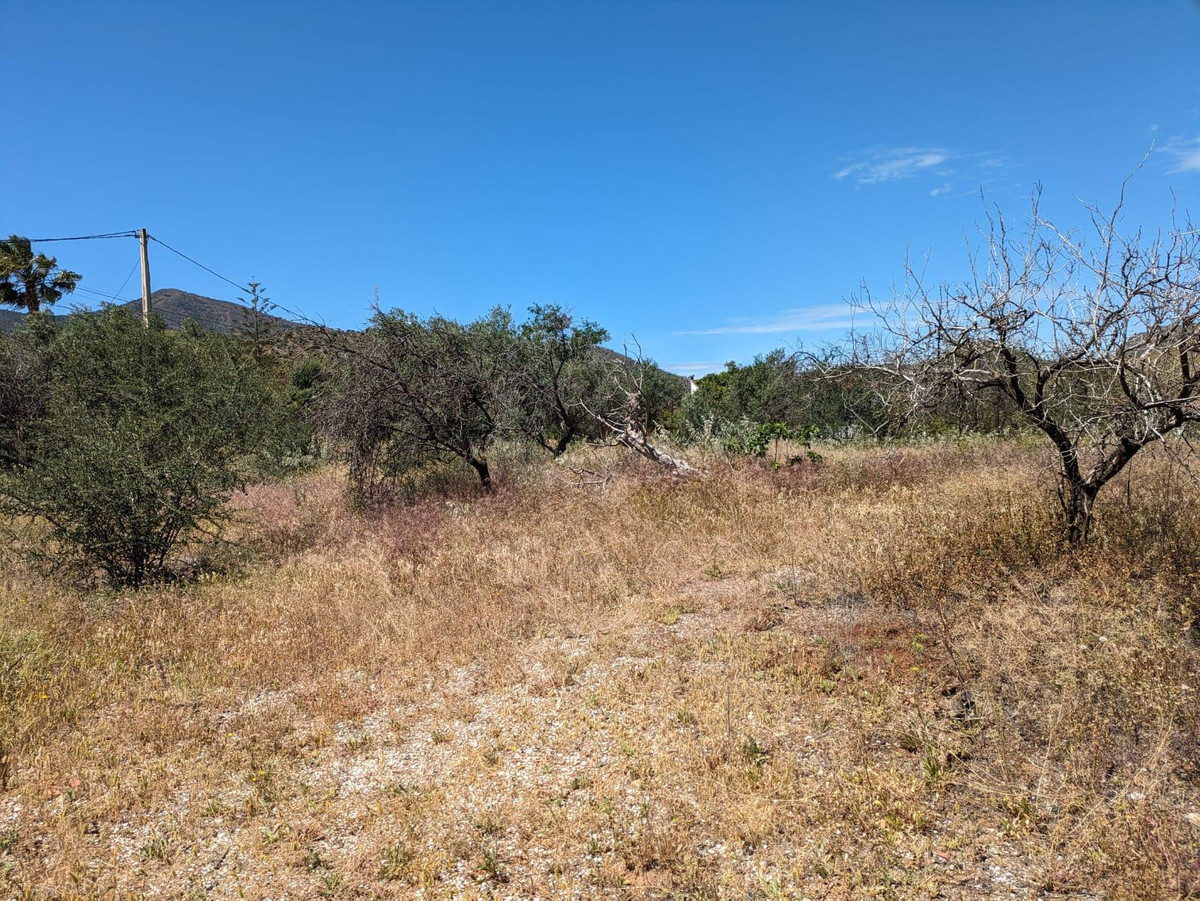 Finca - Cortijo te koop in Alora | 4 slaapkamers H5046790