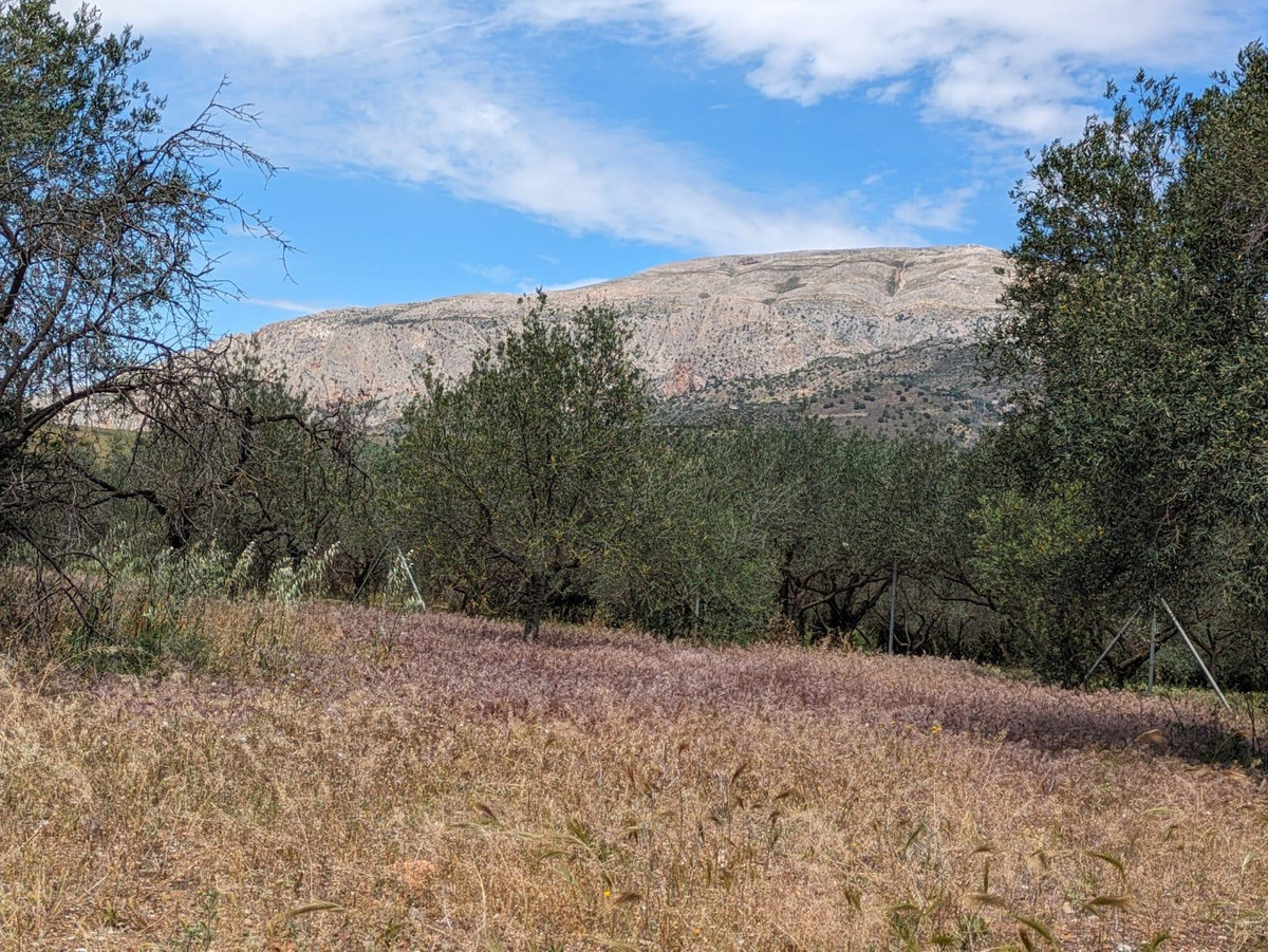 Finca - Cortijo te koop in Alora | 4 slaapkamers H5046790