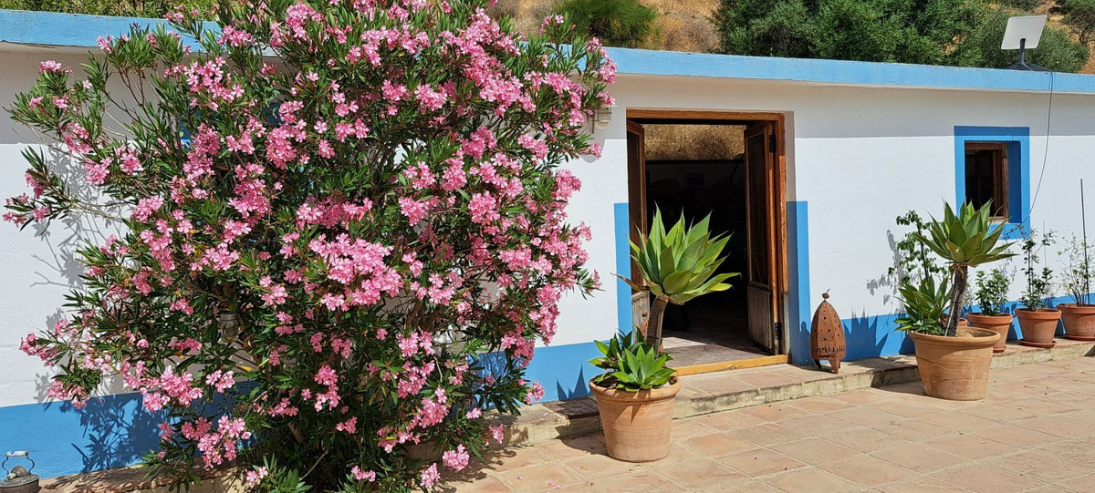 Finca - Cortijo te koop in Alora | 5 slaapkamers H5061406