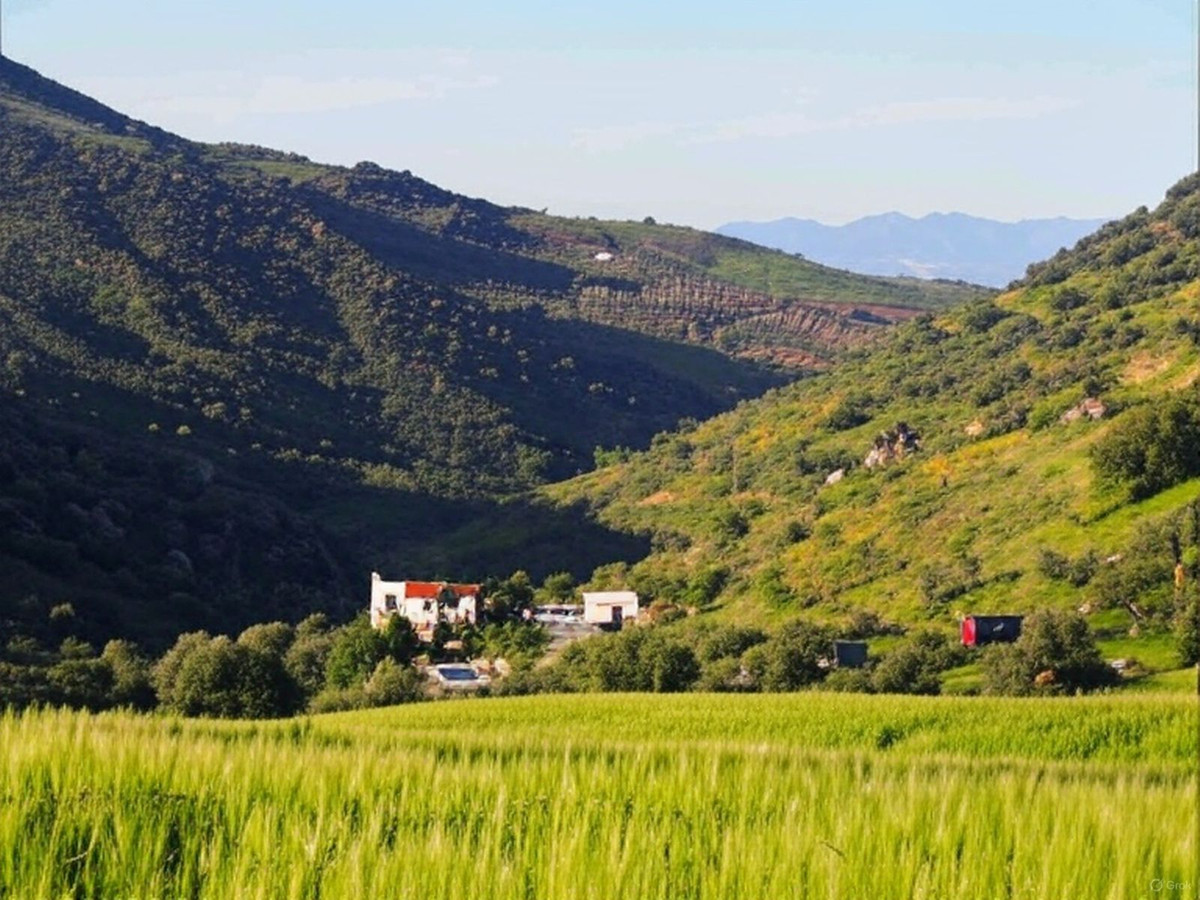Finca - Cortijo te koop in Alora | 5 slaapkamers H5061406