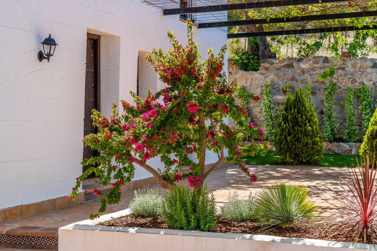 Finca - Cortijo te koop in Alora | 10 slaapkamers H5062984