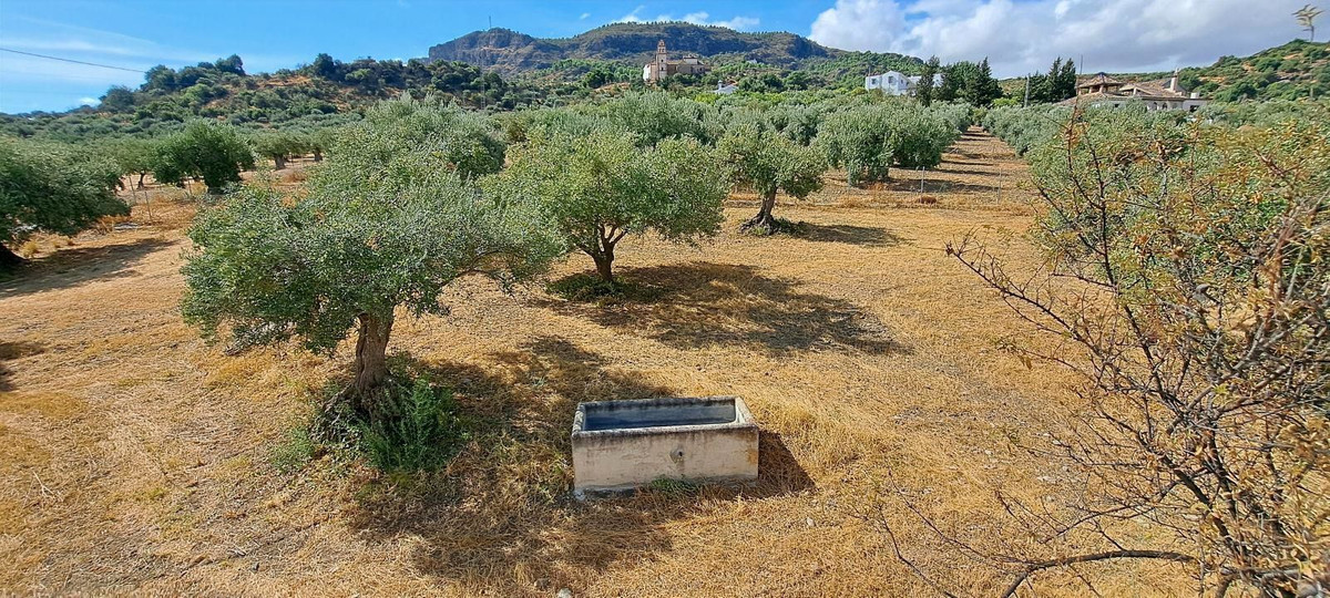 Property main view 45