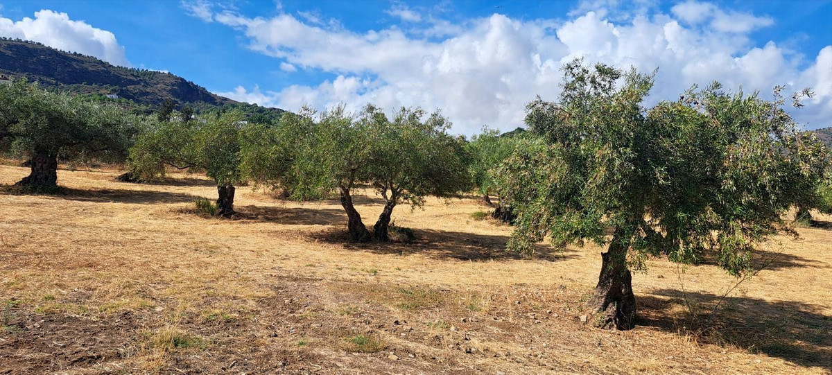 Property main view 46