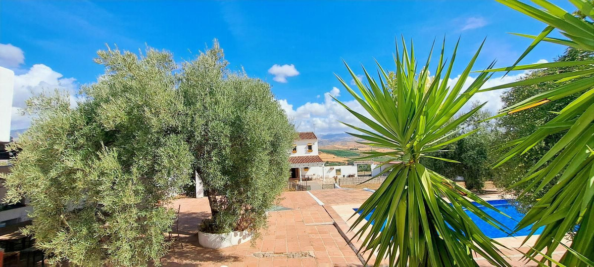 Property main view 49