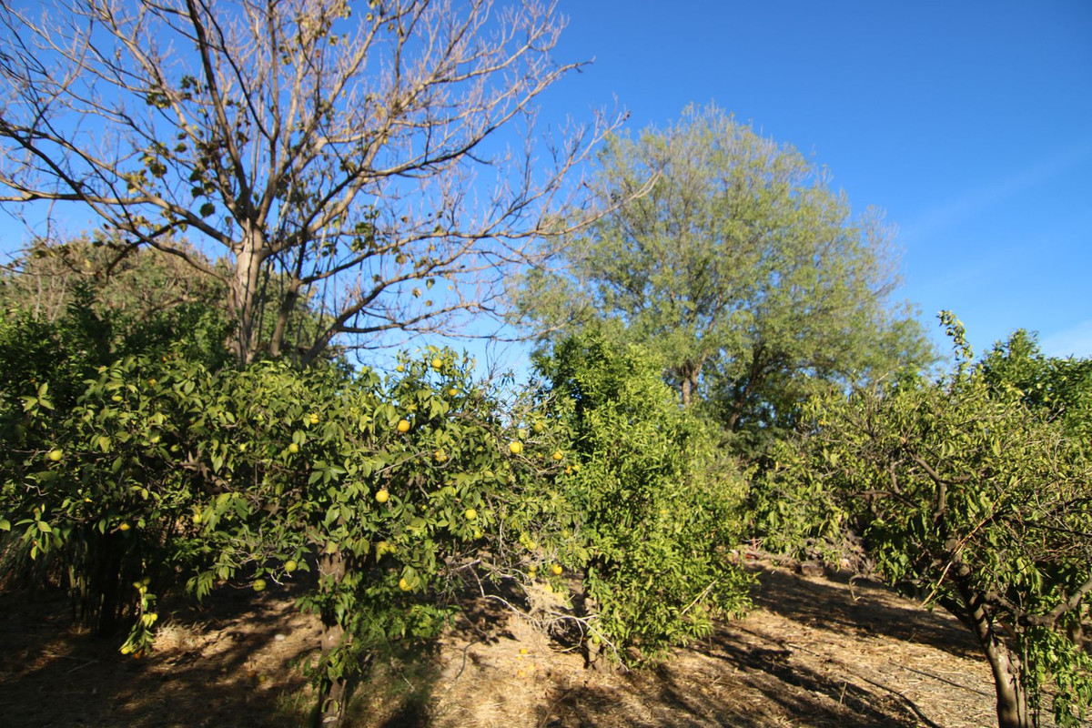 Property main view 36