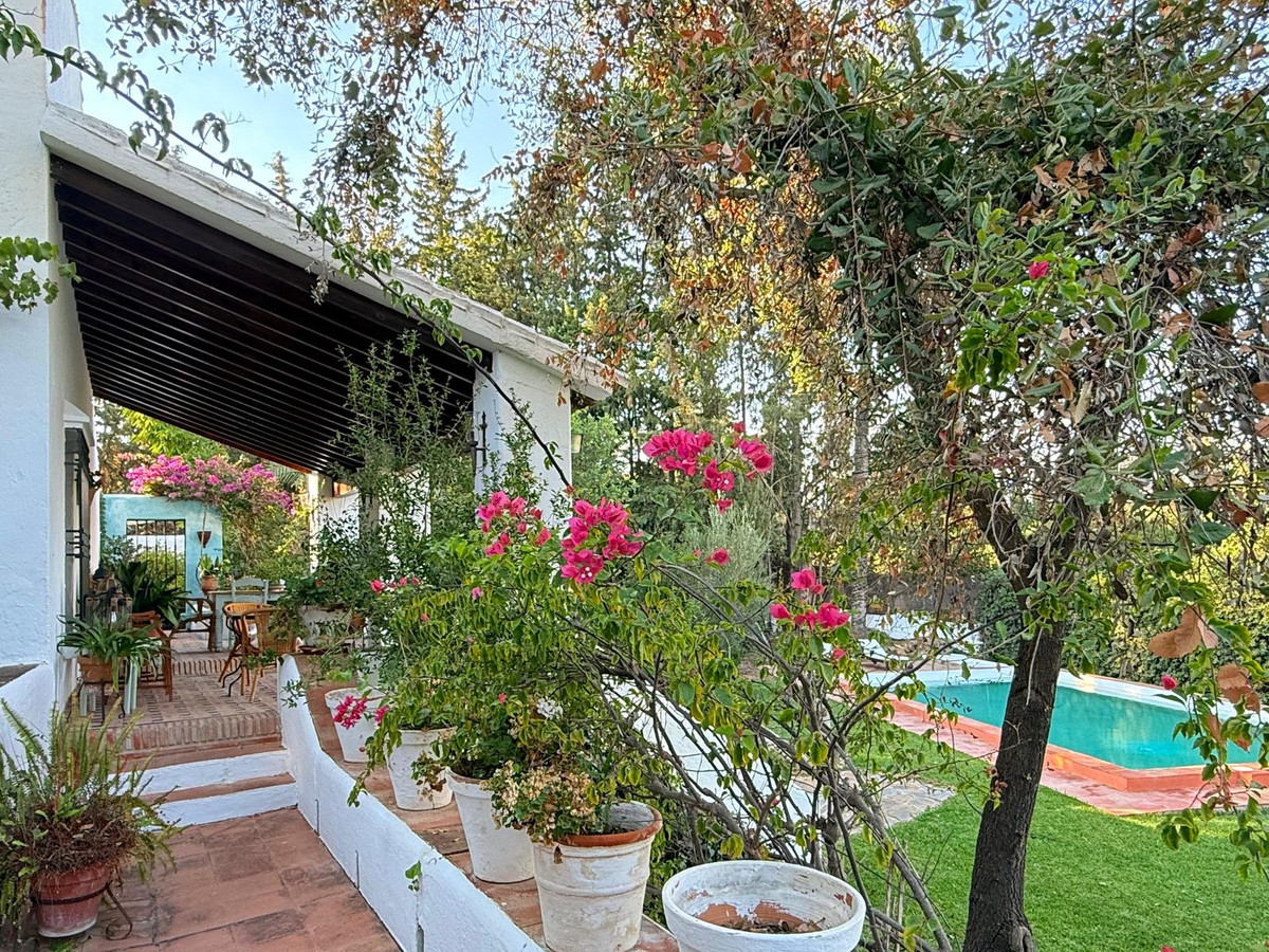 Property main view 4