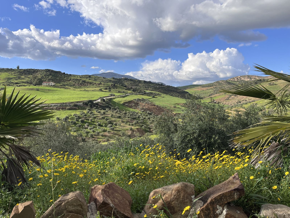 Property main view 10