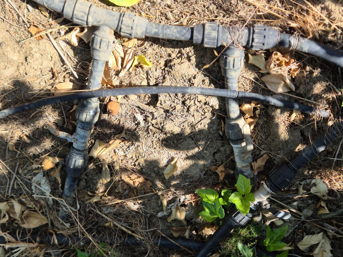 Finca - Cortijo te koop in Alora | 7 slaapkamers H5219983