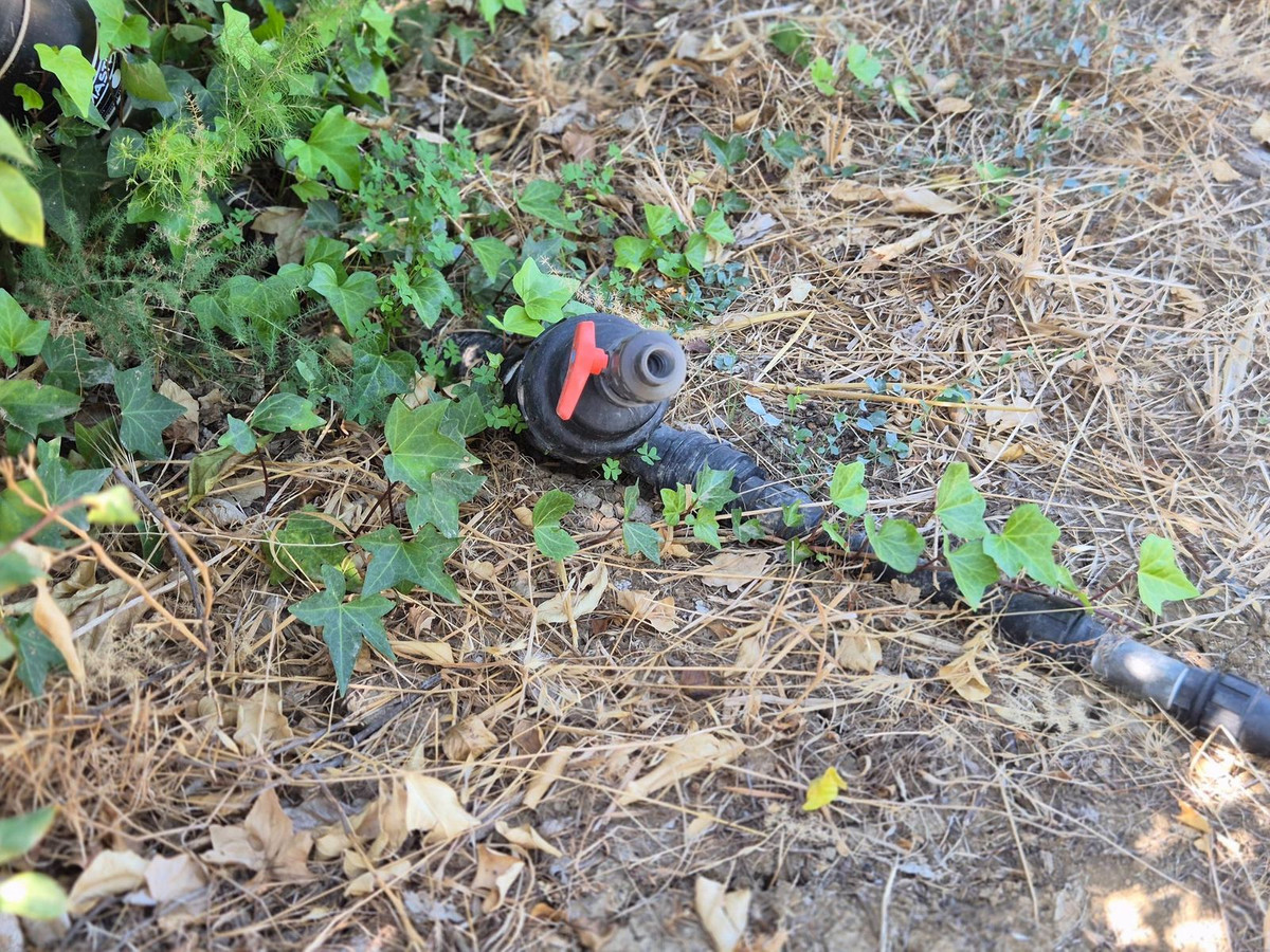 Finca - Cortijo te koop in Alora | 7 slaapkamers H5219983