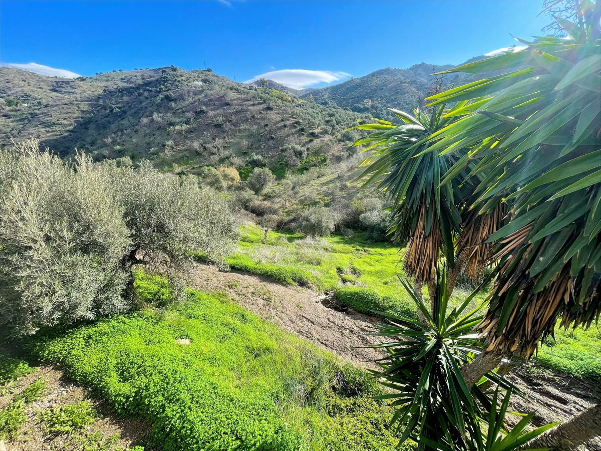 Property main view 37