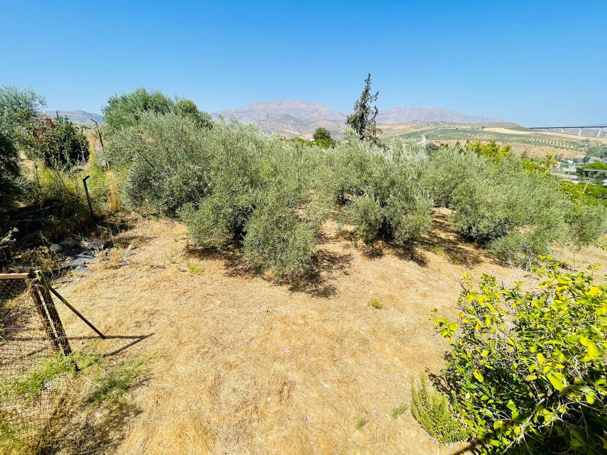 Property main view 41