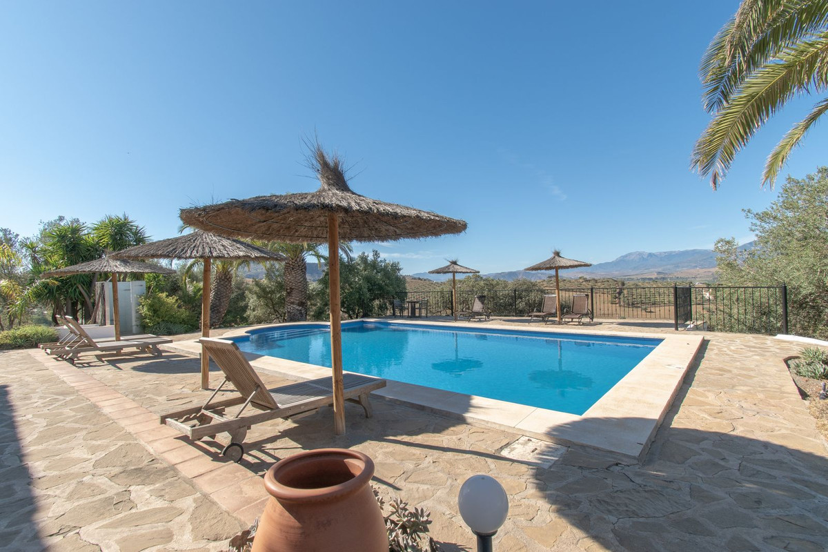 Property main view 41