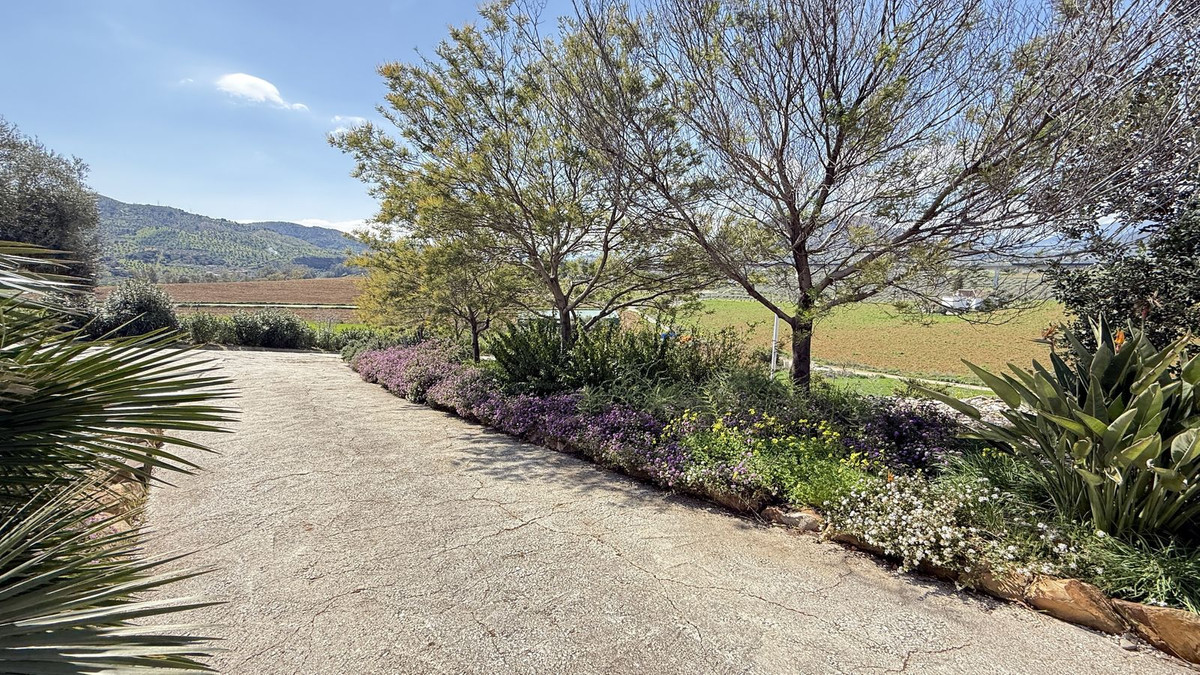 Property main view 30