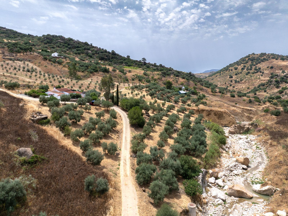 Property main view 39